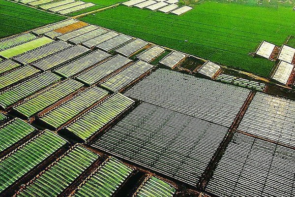 智能温室